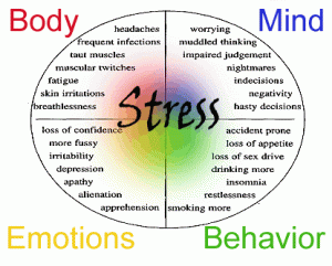 http://blog.lib.umn.edu/reife014/myblog2/2012/01/the-mind-body-interconnection-of-college-stress.html